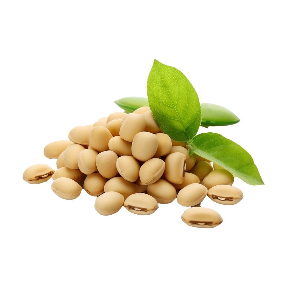 Green mung beans and fava beans for plant-based protein processing
