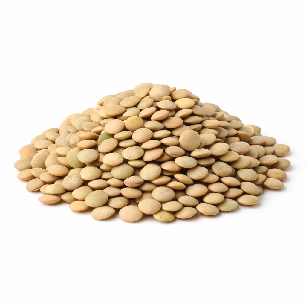 Export-grade lentils red and green for bulk food processing
