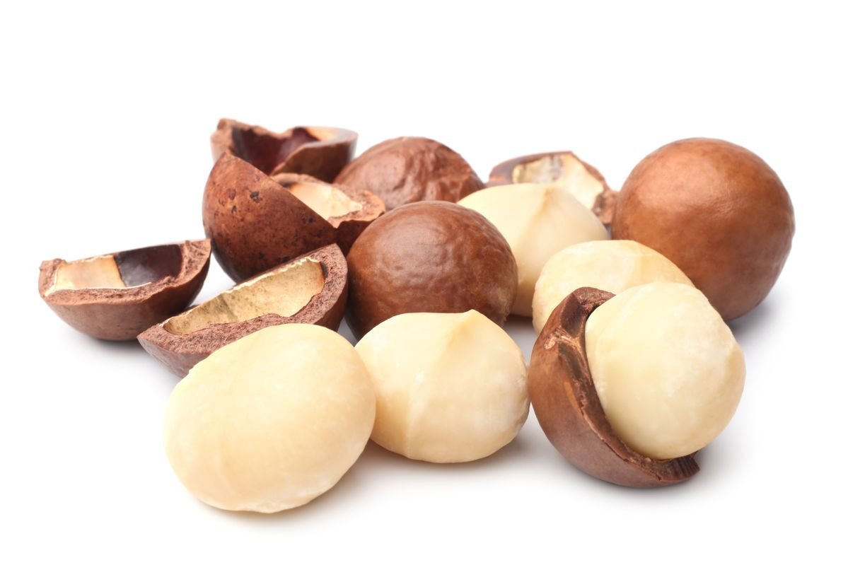Raw macadamia nuts in-shell and shelled kernels for export
